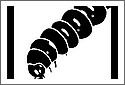 caterpillar.jpg