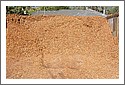 woodchips_type_3.jpg